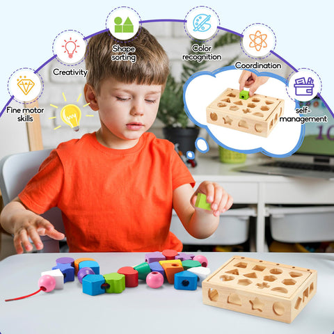 3 in 1 Montessori Wooden Toys