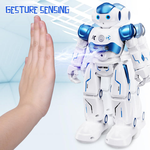 Remote Gesture Control Robot